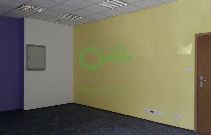 Kraków, Kraków-Śródmieście, Piasek, Karmelicka, Lokal na sprzedaż