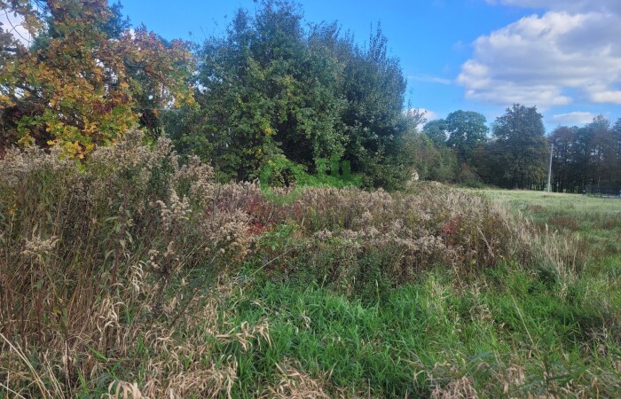 Kraków, Kraków-Podgórze, Sidzina, Żyzna, Działka na sprzedaż