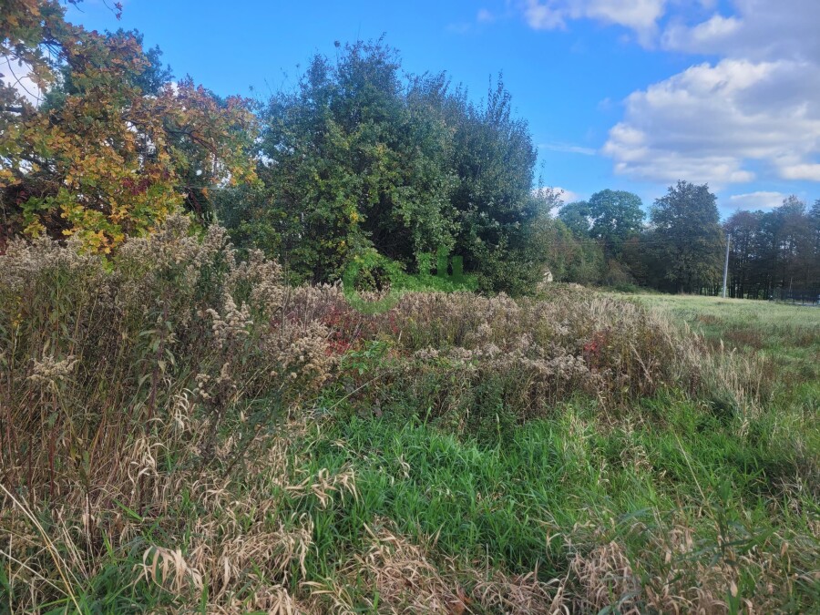 Kraków, Kraków-Podgórze, Sidzina, Żyzna, Działka na sprzedaż