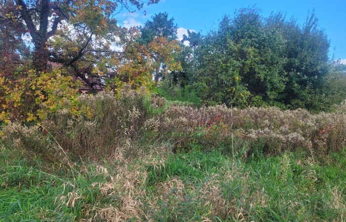 Kraków, Kraków-Podgórze, Sidzina, Żyzna, Działka na sprzedaż