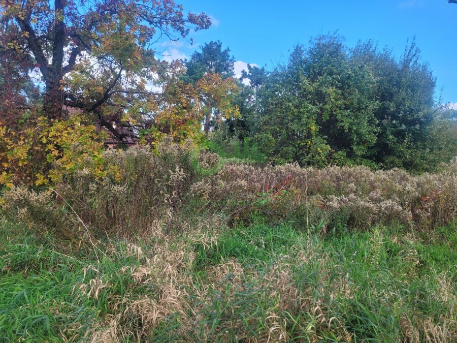 Kraków, Kraków-Podgórze, Sidzina, Żyzna, Działka na sprzedaż
