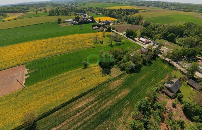 miechowski, Gołcza, Rzeżuśnia, Działka na sprzedaż