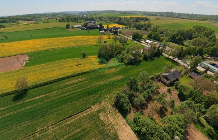 miechowski, Gołcza, Rzeżuśnia, Działka na sprzedaż