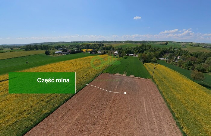 miechowski, Gołcza, Rzeżuśnia, Działka na sprzedaż