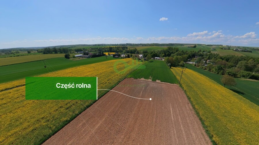 miechowski, Gołcza, Rzeżuśnia, Działka na sprzedaż
