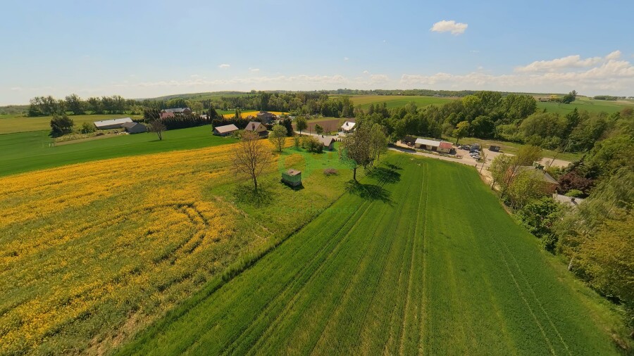 miechowski, Gołcza, Rzeżuśnia, Działka na sprzedaż